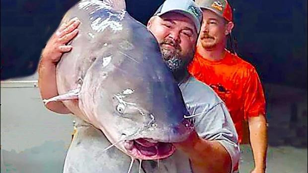 Người đàn ông Mỹ bắt con cá trê rồi sốc nặng trước trọng lượng của nó-3