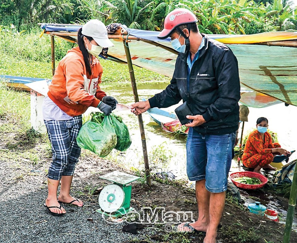 Rộn rã thu hoạch sản vật mùa mưa - 2