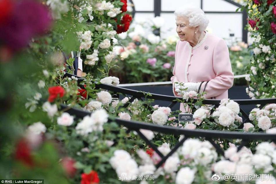 Nữ hoàng Anh 95 tuổi: Tự lái Rang Rover, gu thời trang đỉnh chóp-6