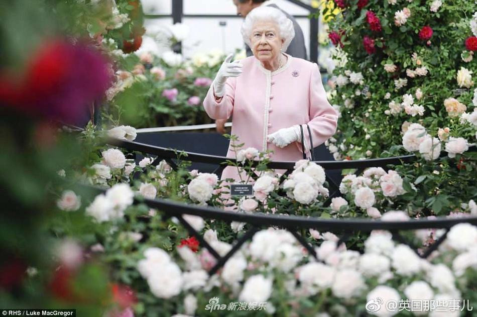 Nữ hoàng Anh 95 tuổi: Tự lái Rang Rover, gu thời trang đỉnh chóp-8