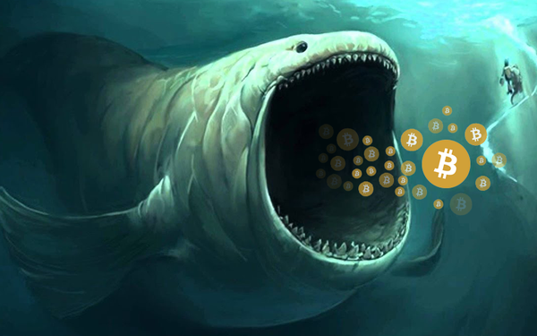 Cá voi Bitcoin thức giấc sau 3 năm, gom hàng ồ ạt - Ảnh 2.