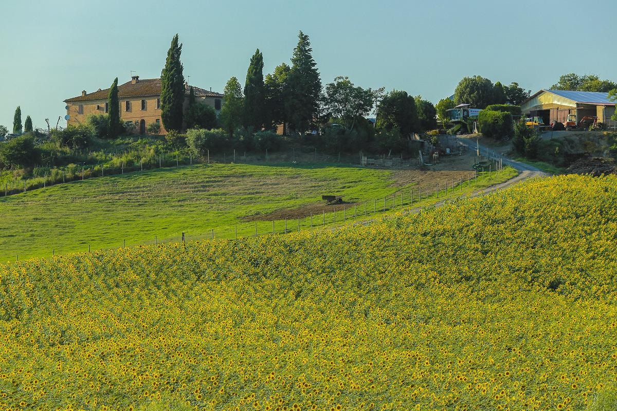 Tuscany - vùng đất làm say lòng bao du khách - 5