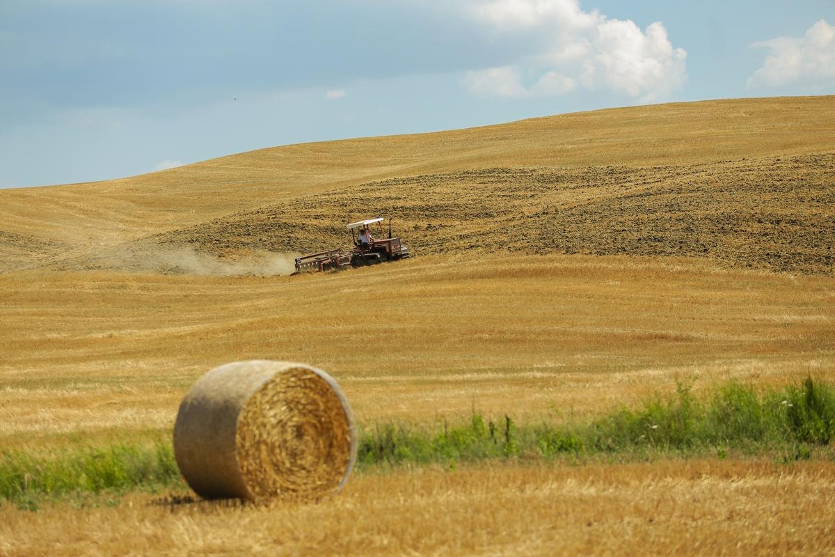 Tuscany - vùng đất làm say lòng bao du khách - 4