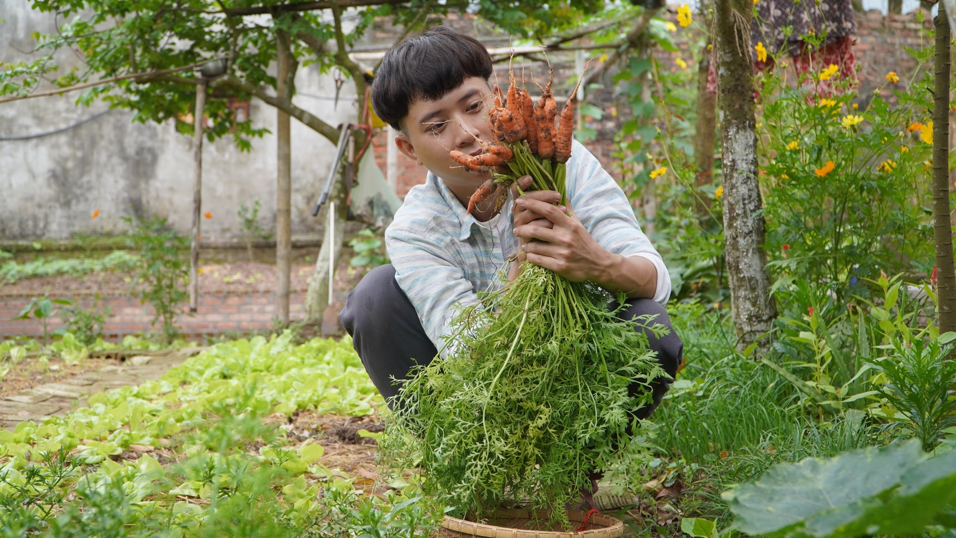 Sài Gòn trồng cây, hẹn gặp nhau khi hoa nở - 1