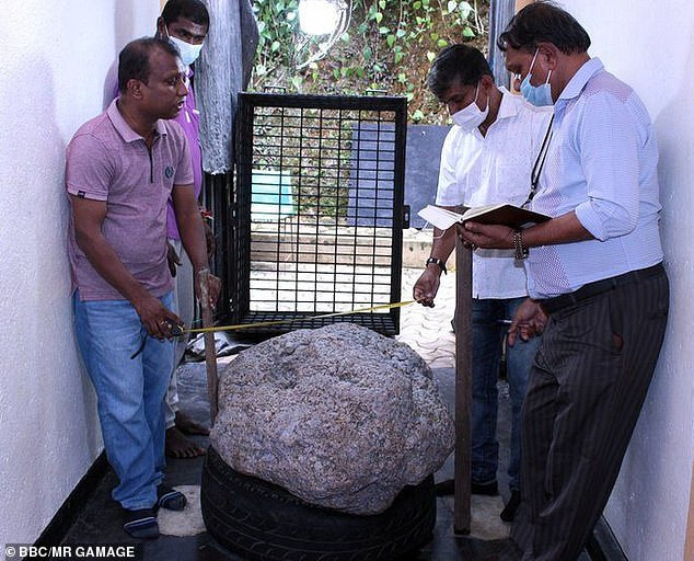 Châu Á: Đào giếng vô tình vớ kho báu khổng lồ, trị giá 100 triệu USD - Ảnh 1.