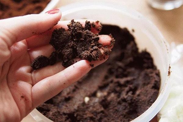 Ăn nấm kim châm đừng bỏ gốc, đem cắm vào chậu là có ngay nấm mới, tội gì không trồng-1