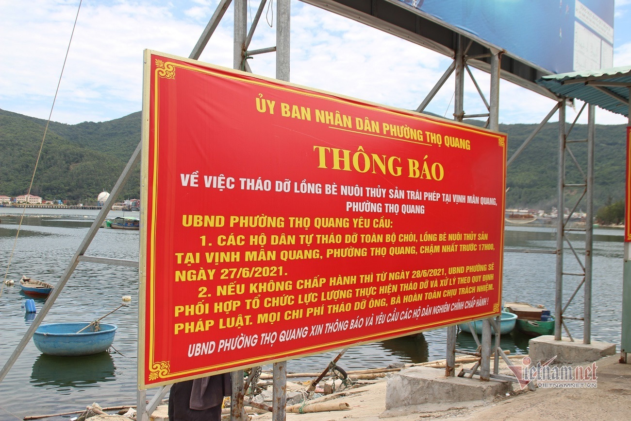 Làng cá bè tiền tỷ ở Đà Nẵng trước thời điểm di dời