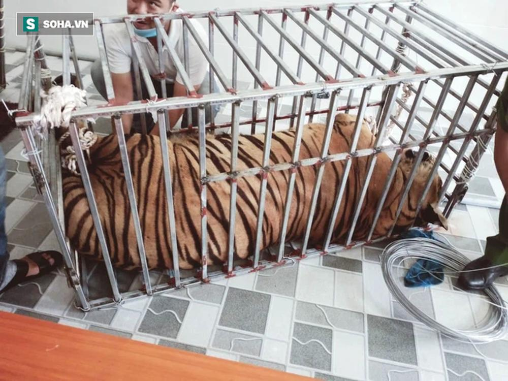 Cận cảnh chuồng trại nuôi nhốt 17 con hổ vừa bị công an triệt phá-8