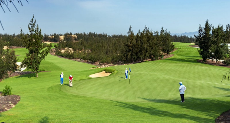 Sân golf FLC Quy Nhơn (Ảnh minh hoạ)