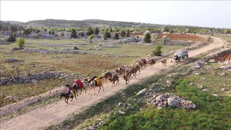 Thổ Nhĩ Kỳ: Tour trải nghiệm cuộc sống của bộ lạc cuối cùng duy trì lối sống du mục thời 4.0 hút khách du lịch - 1