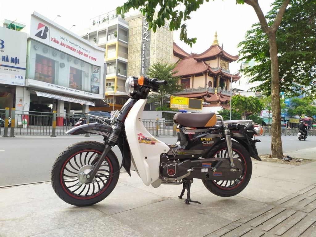 xe cub xe cub