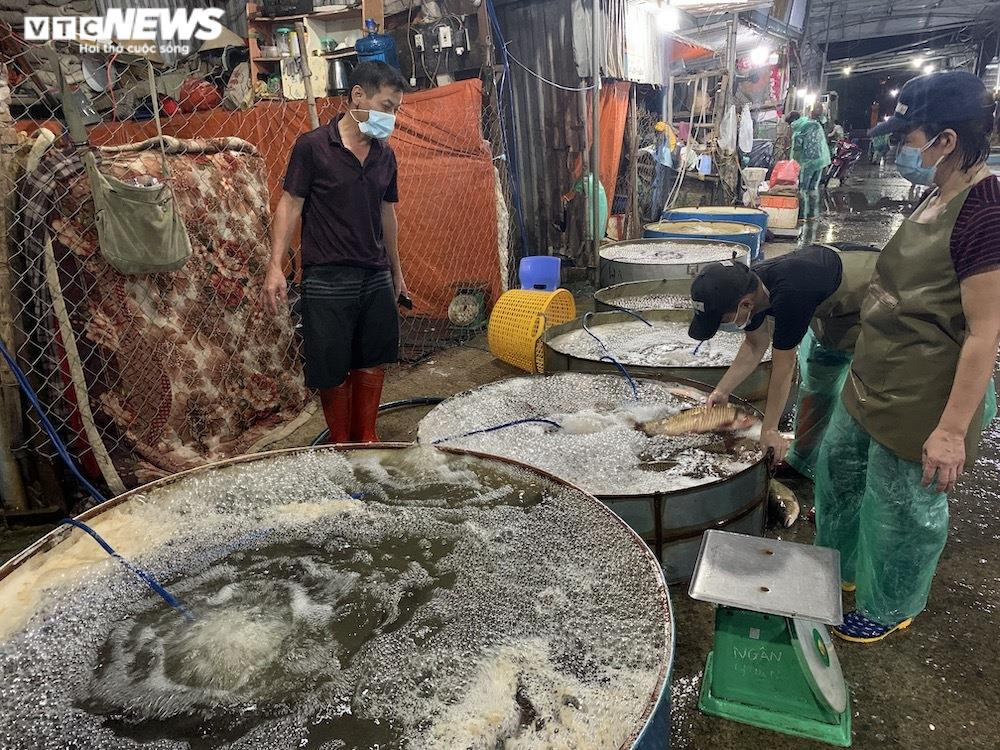 Ảnh: Chợ cá lớn nhất Hà Nội hoang vắng, tiểu thương nghỉ quá nửa vì COVID-19 - 11