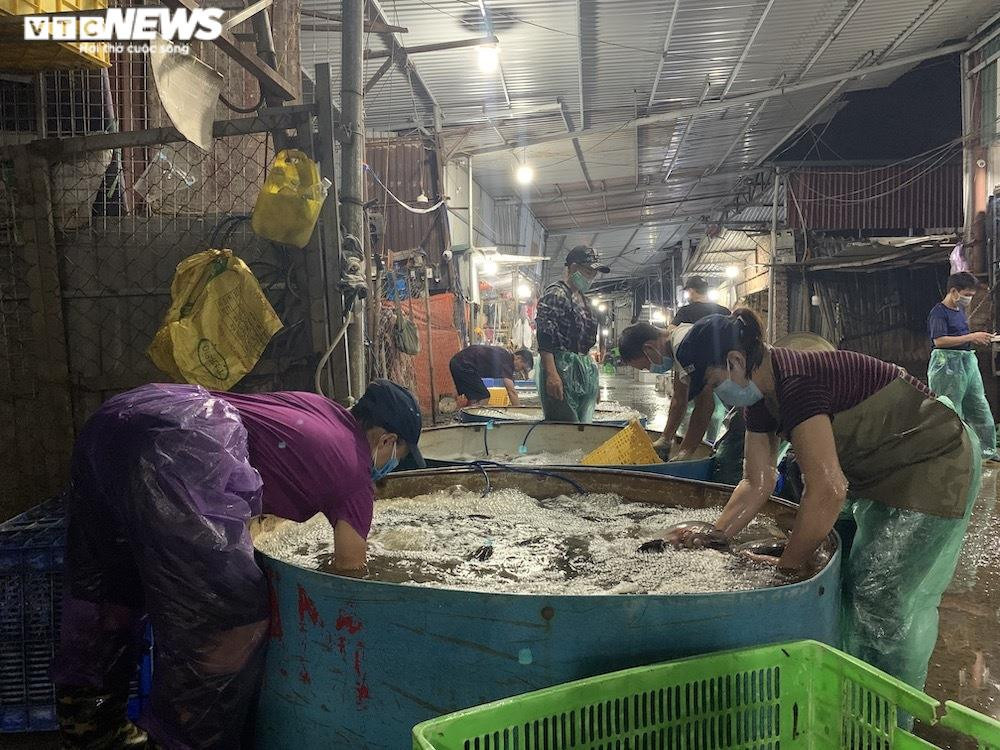 Ảnh: Chợ cá lớn nhất Hà Nội hoang vắng, tiểu thương nghỉ quá nửa vì COVID-19 - 18