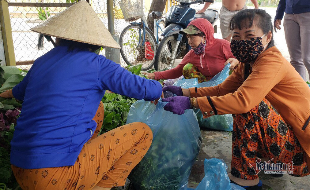Người dân Quảng Nam hái rau, góp gạo tiếp sức cho Đà Nẵng chống dịch