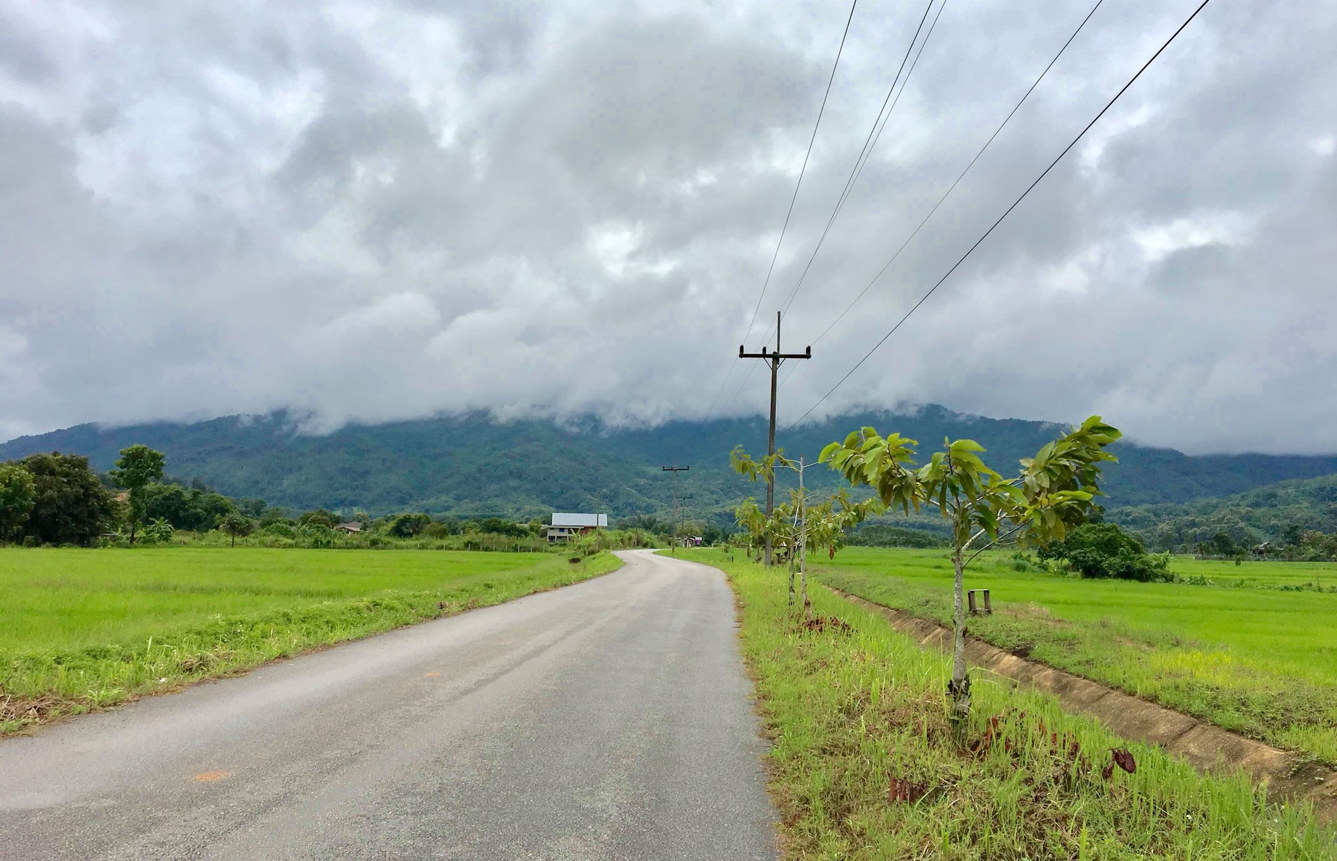 Khám phá cuộc sống của những người phụ nữ cổ dài ở xứ Chùa Vàng - 1