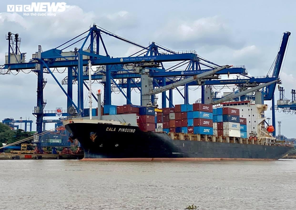 Cước container tăng phi mã, doanh nghiệp Việt nguy cơ mất trắng thị trường - 2