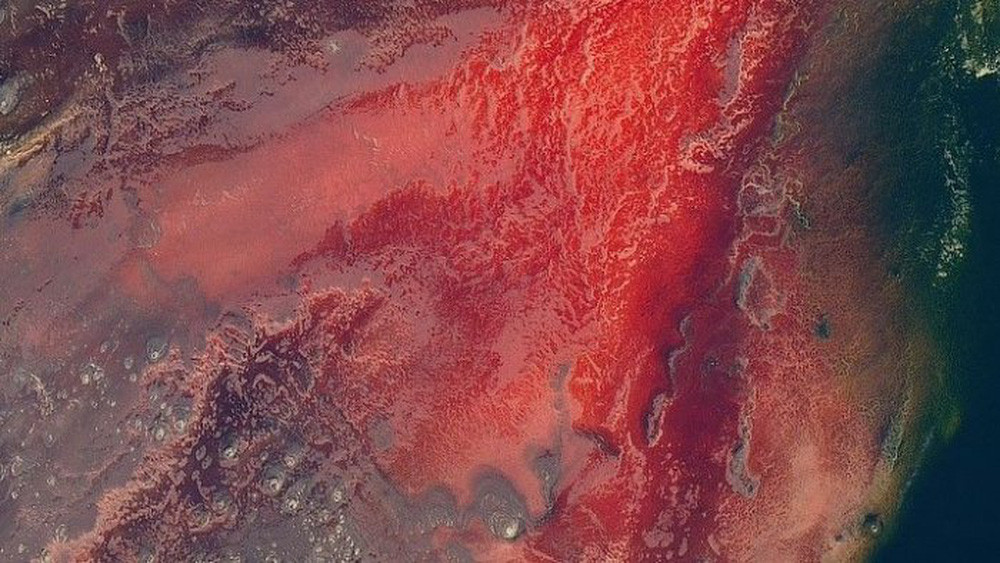 Bạn sẽ không tin bức ảnh kinh dị này là hình ảnh trên Trái Đất cho đến khi nghe NASA giải thích - Ảnh 10.