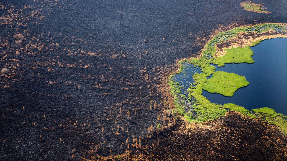 Cháy rừng khủng khiếp ở Siberia: Lớn hơn tất cả các đám cháy rừng trên thế giới cộng lại - Lập kỷ lục tồi tệ! - Ảnh 3.