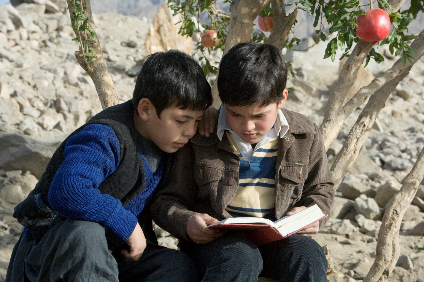 Afghanistan: Đau thương, chiến tranh vẫn kiêu hãnh tựa ngàn mặt trời rực rỡ - 3