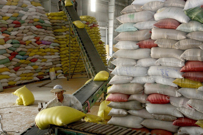 Giá gạo 'chạm đáy' trong hơn 1 năm: Vì đâu nên nỗi?