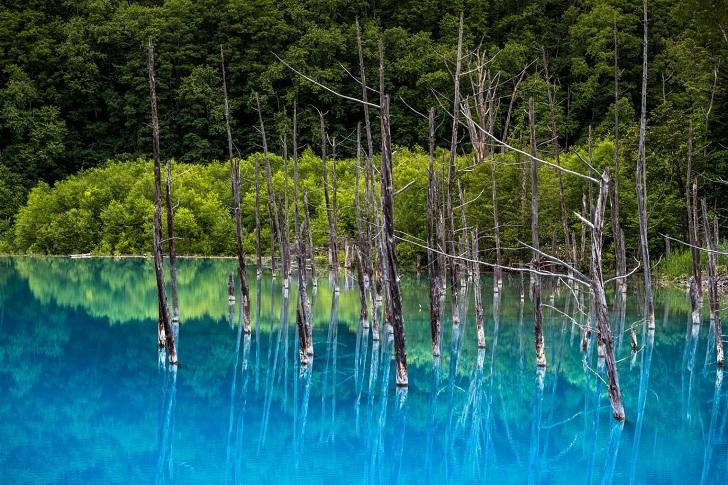 Ngỡ ngàng vẻ đẹp của hồ nước màu xanh sapphire tại Nhật Bản-3