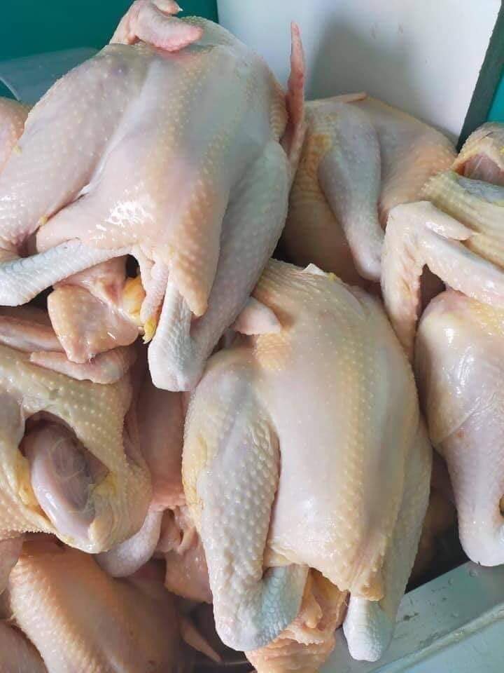 Chợ mạng nhộn nhịp mua bán khi giá gà ri bất ngờ giảm mạnh - Ảnh 3. Chợ mạng nhộn nhịp mua bán khi giá gà ri bất ngờ giảm mạnh - Ảnh 3.