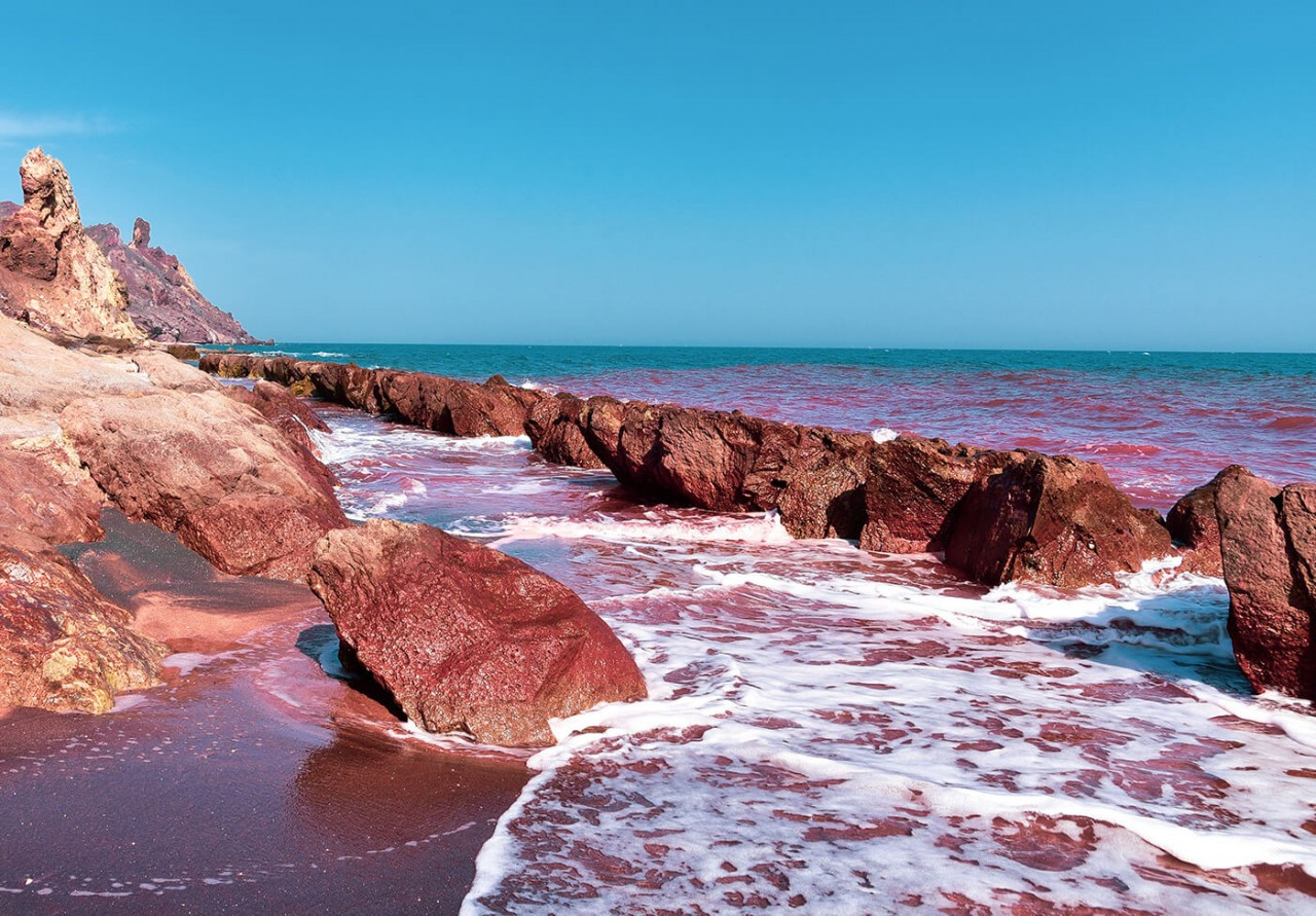 Bãi biển sóng đánh vào bờ chuyển màu đỏ rực kỳ lạ nhất thế giới - 4