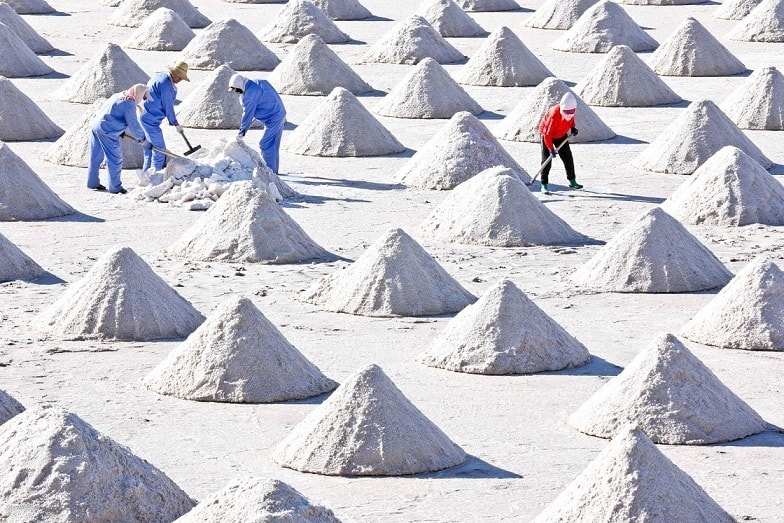 Các công nhân phơi muối ở cơ sở sản xuất muối Zhonghu Salt, Gaotai, Trung Quốc, ngày 24/8. (Nguồn: Zuma) Ảnh ấn tượng tuần 23-29/8: Philippines vật lộn với Covid-19; bom đạn, nước mắt, ‘thành trì’ Panjshir và mải miết trốn chạy khỏi Afghanistan
