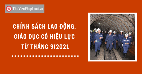 Chính sách lao động, giáo dục có hiệu lực từ tháng 9/2021