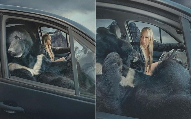 Hot girl lái xe chở thú cưng gấu khổng lồ dạo phố - 1