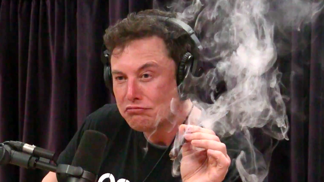 Elon Musk lại chém gió: Cổ phiếu Tesla phải đáng giá 3.000 USD, nếu họ định giá chính xác - Ảnh 1.