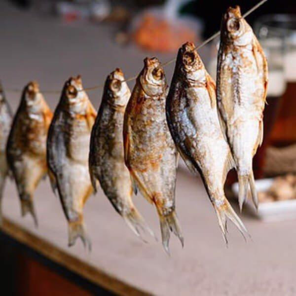 4 loại cá nên hạn chế, loại thứ 3 nhiều người thường xuyên ăn-2