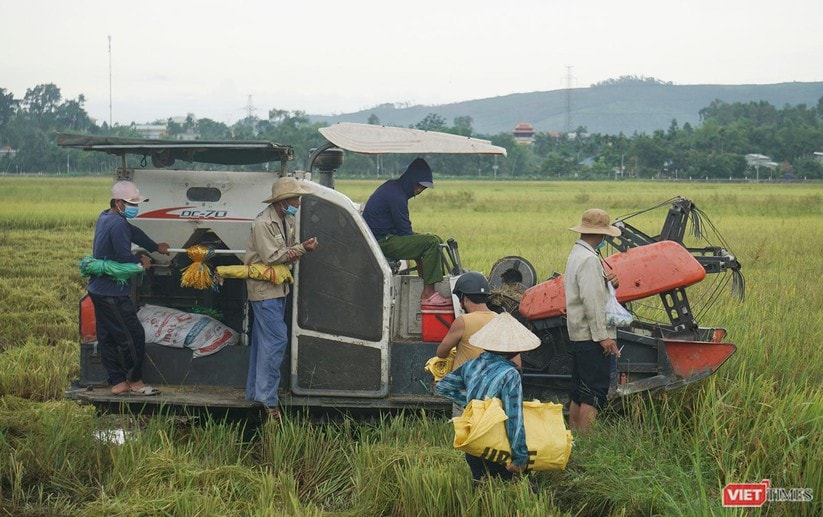 Ảnh: Người dân Đà Nẵng căng mình ứng phó với bão số 5 ảnh 18