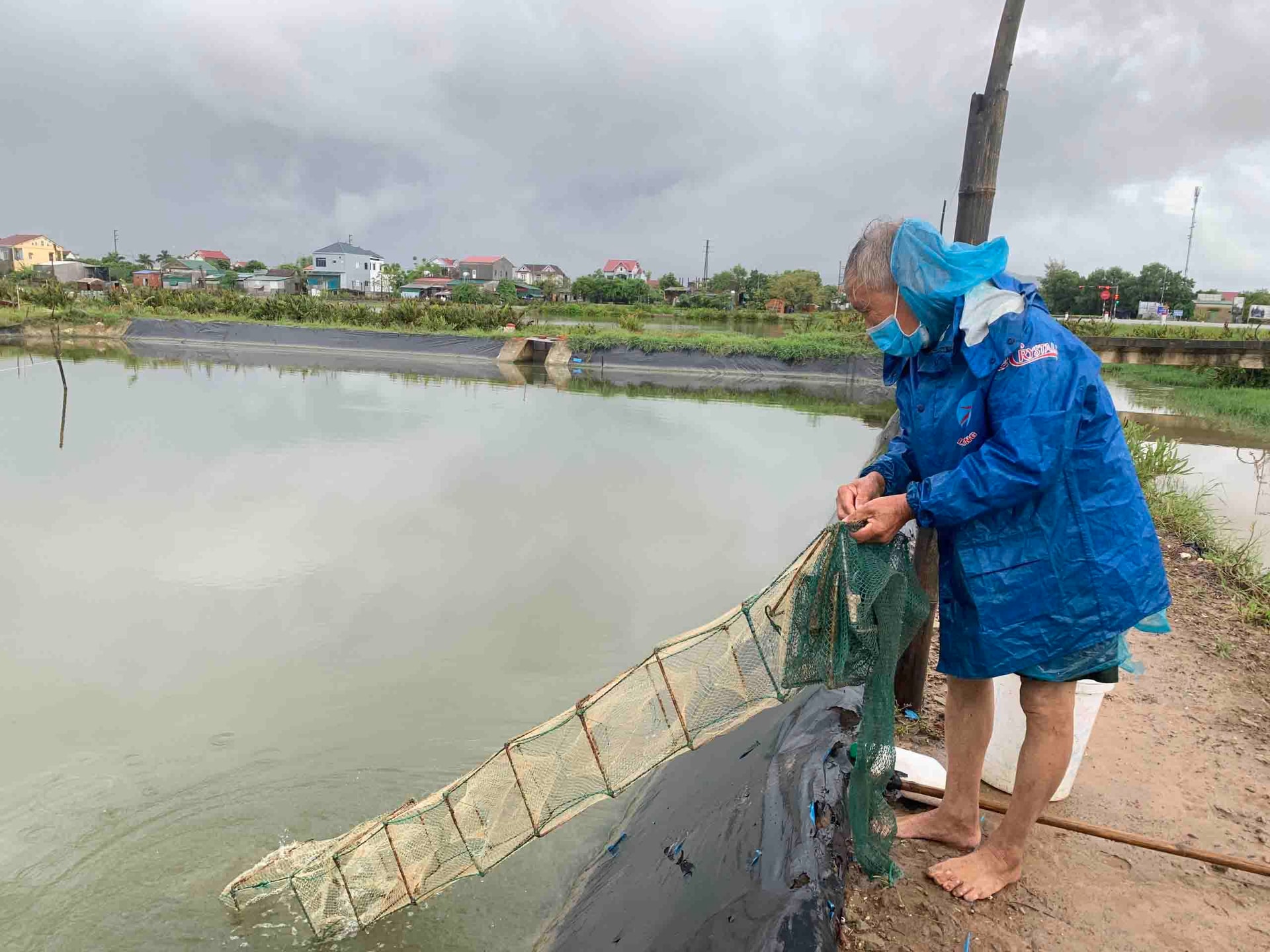 Người dân Thanh Hóa-Nghệ An-Hà Tĩnh hối hả gặt lúa tránh bão Côn Sơn