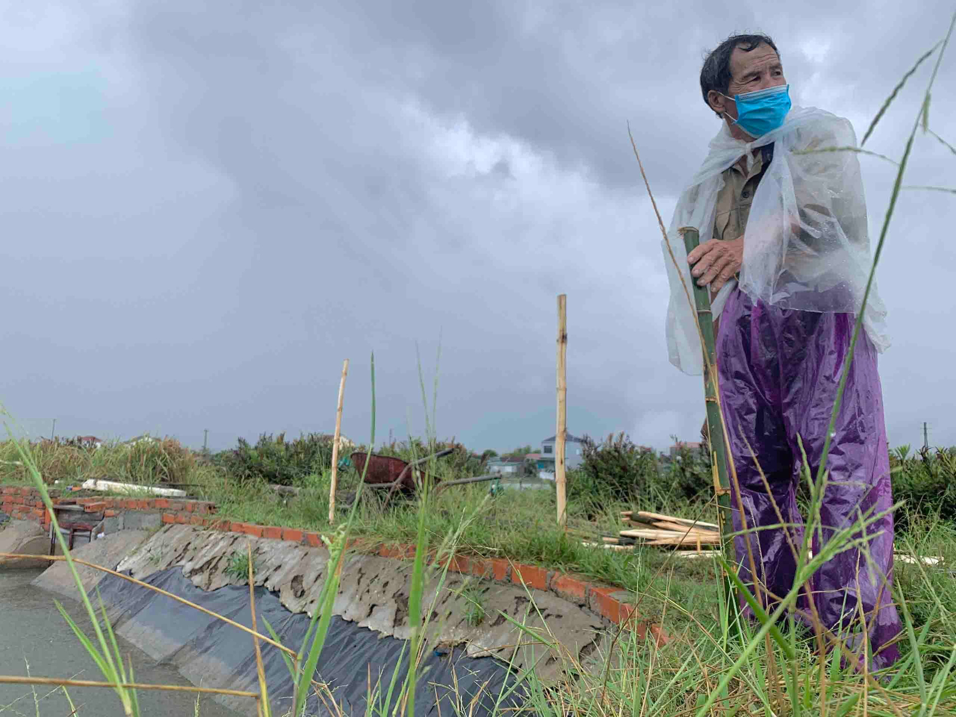 Người dân Thanh Hóa-Nghệ An-Hà Tĩnh hối hả gặt lúa tránh bão Côn Sơn