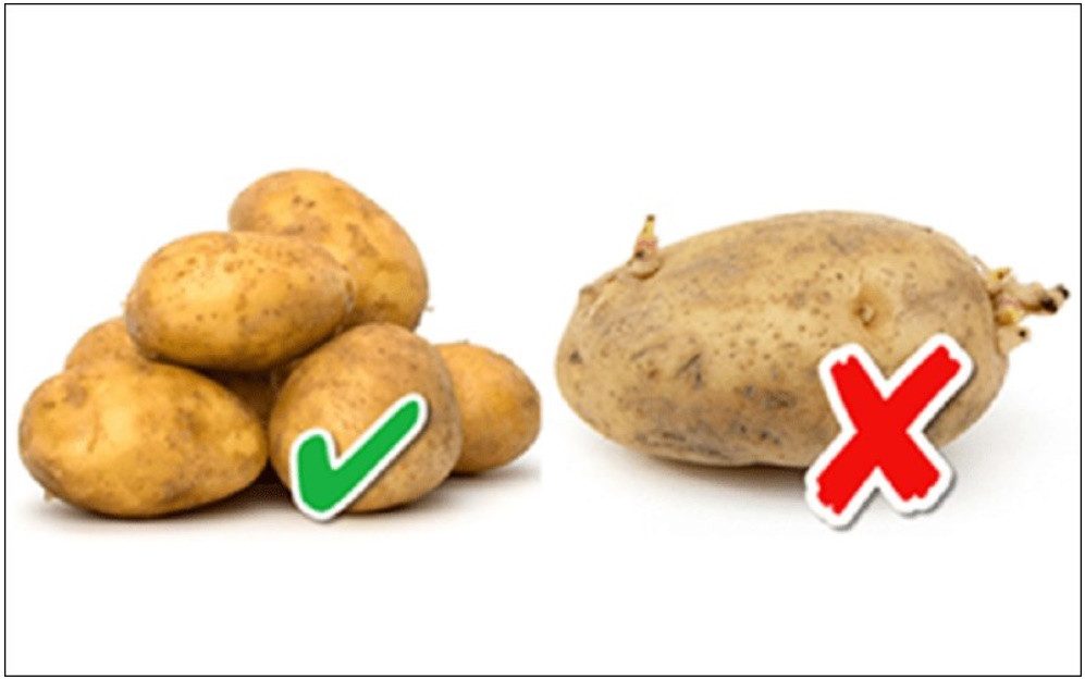 Chọn khoai tây, khoai môn chỉ cần nhìn vào 1 điểm là biết khoai bở bùi, cực thơm ngon-1
