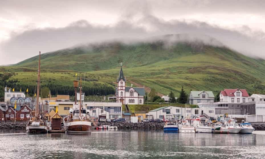 Tour độc đáo ngắm cá voi bảo vệ môi trường ở Iceland - 4