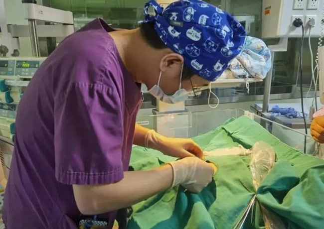 Cơ thể bé gái sơ sinh tỏa ra mùi thơm ngọt ngào tựa Hàm Hương, bố mẹ giật mình khi bác sĩ chẩn đoán căn bệnh di truyền hiếm gặp-2