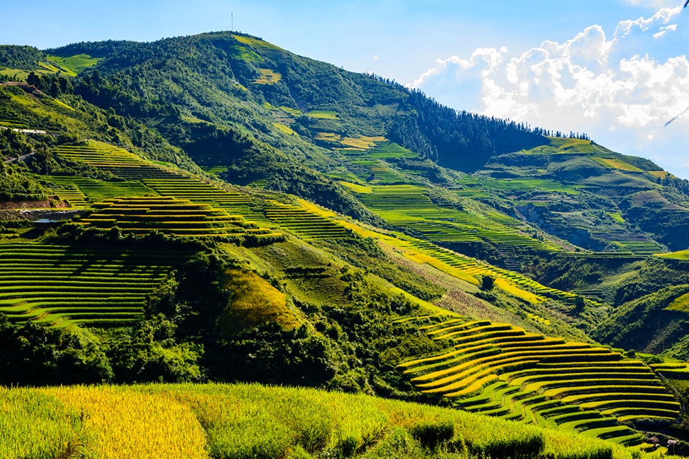 Điểm hẹn cho tín đồ yêu thích những thửa ruộng lưng chừng giữa mây trời - 3