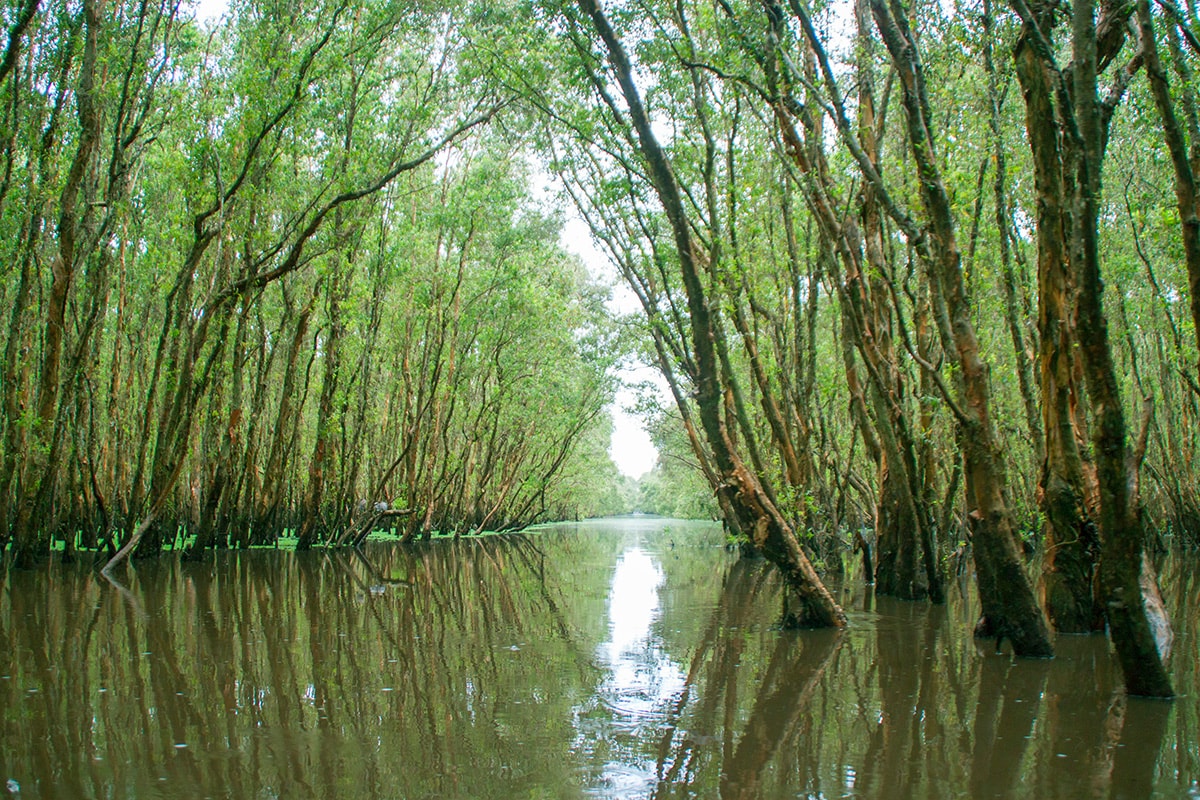 An Giang vào mùa nước nổi – Mùa du lịch đẹp nhất trong năm - 1