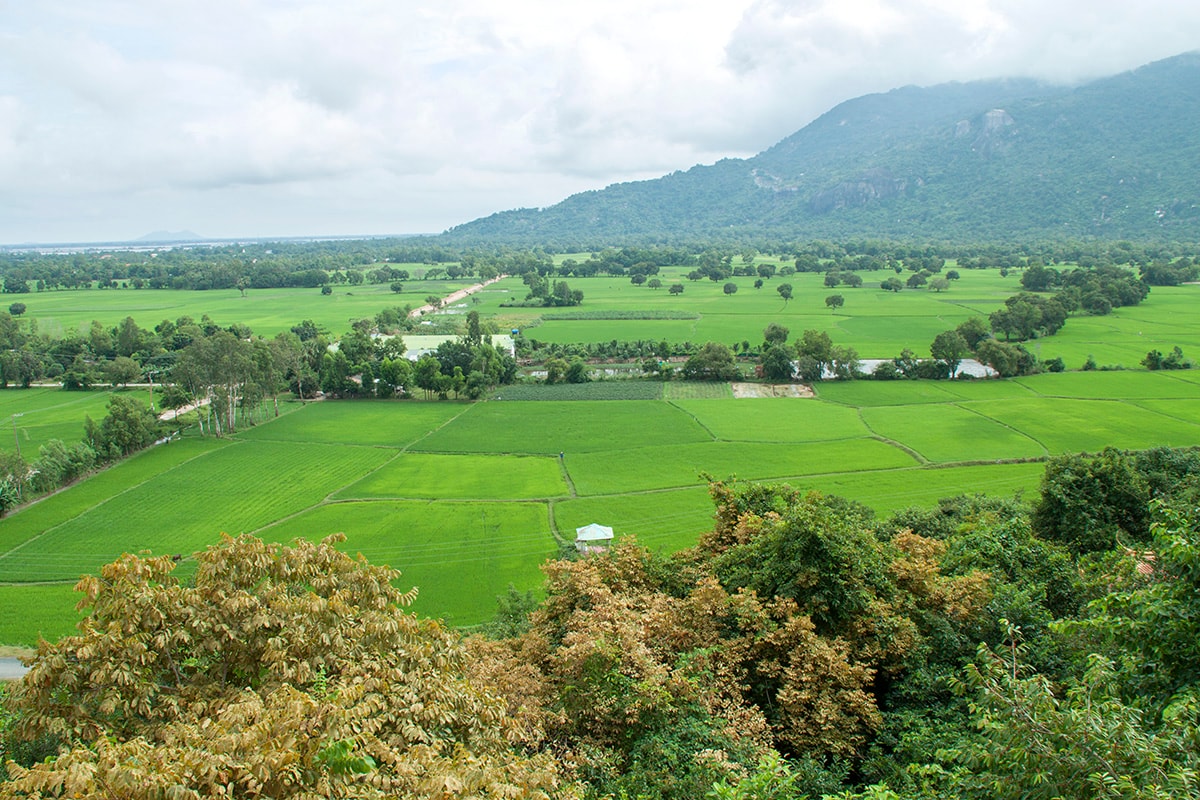 An Giang vào mùa nước nổi – Mùa du lịch đẹp nhất trong năm - 4