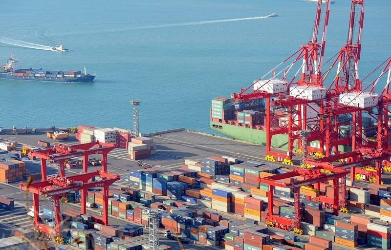 Thương mại Việt Nam – Hà Lan tăng tốc nhờ EVFTA - 1