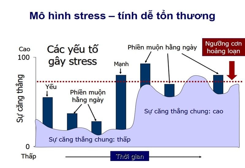 Rối loạn lo âu bệnh tật và những hệ lụy