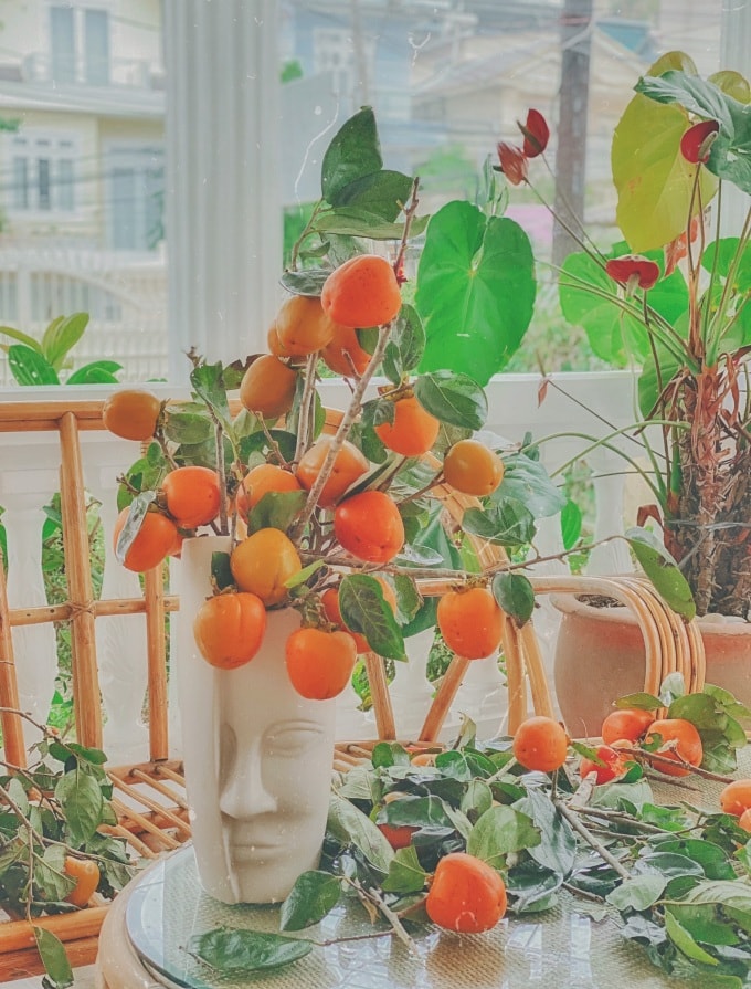 Vườn hồng trĩu quả của vợ chồng 'bỏ phố lên núi' - 6