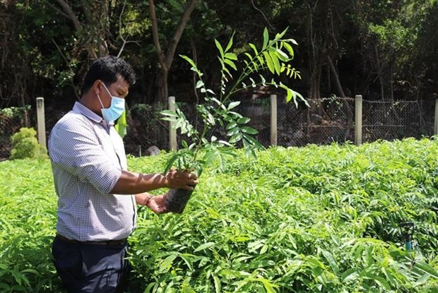 Du lịch Việt Nam: Phát huy giá trị Khu dự trữ sinh quyển Núi Chúa - Ninh Thuận hình ảnh 4 Du lich Viet Nam: Phat huy gia tri Khu du tru sinh quyen Nui Chua - Ninh Thuan hinh anh 4