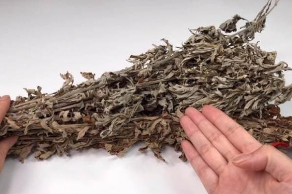 Vào mùa hè, muỗi sợ nhất là loại cỏ này! Hãy lấy một nắm đặt trong phòng và cửa ra vào, cả đêm bạn cũng không nhìn thấy một con muỗi nào-2