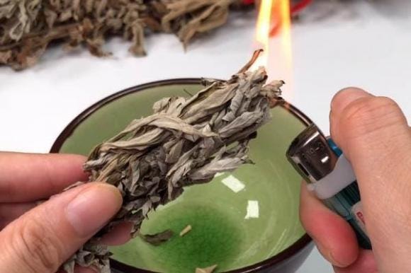 Vào mùa hè, muỗi sợ nhất là loại cỏ này! Hãy lấy một nắm đặt trong phòng và cửa ra vào, cả đêm bạn cũng không nhìn thấy một con muỗi nào-6