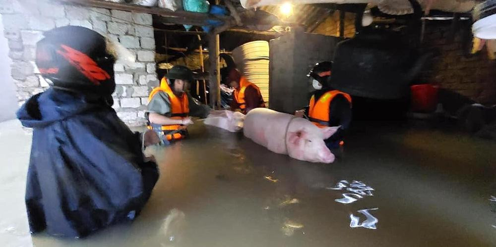 Thủy điện và hồ đập xả lũ, nhà dân ở Nghệ An ngập sâu trong nước-12