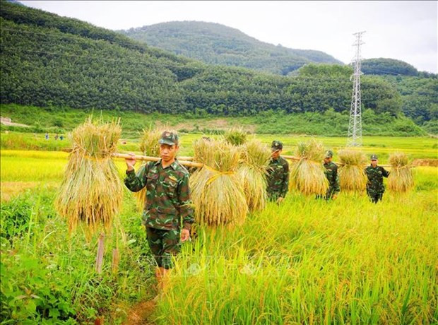 Mua vang am tinh quan dan vung ngoai long chao Muong Thanh hinh anh 1