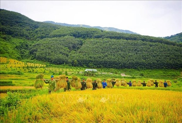 Mua vang am tinh quan dan vung ngoai long chao Muong Thanh hinh anh 2